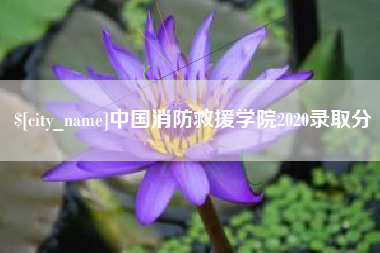 忻州中国消防救援学院2020录取分