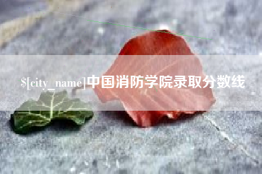 忻州中国消防学院录取分数线