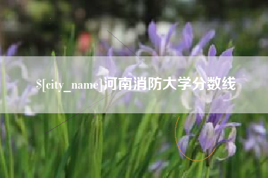 忻州河南消防大学分数线