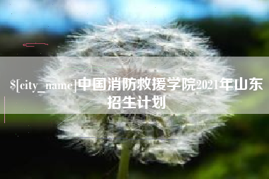 忻州中国消防救援学院2021年山东招生计划