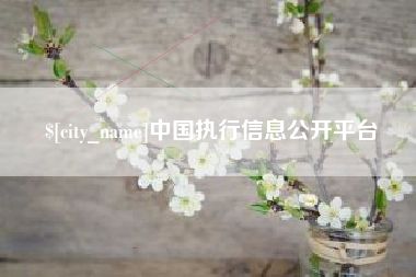 忻州中国执行信息公开平台
