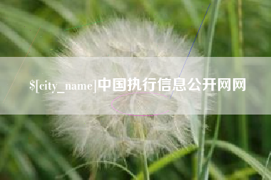 忻州中国执行信息公开网网