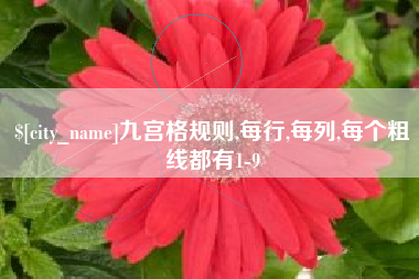 忻州九宫格规则,每行,每列,每个粗线都有1-9