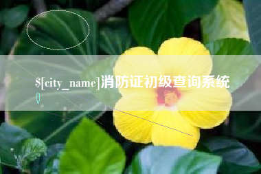 忻州消防证初级查询系统