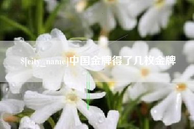 忻州中国金牌得了几枚金牌