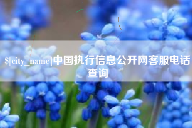 忻州中国执行信息公开网客服电话查询