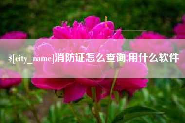 忻州消防证怎么查询,用什么软件