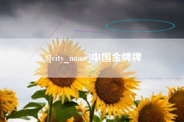 忻州中国金牌牌
