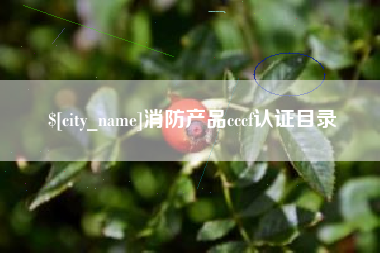 忻州消防产品cccf认证目录