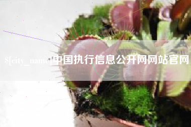 忻州中国执行信息公开网网站官网