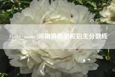 忻州河南消防学校招生分数线