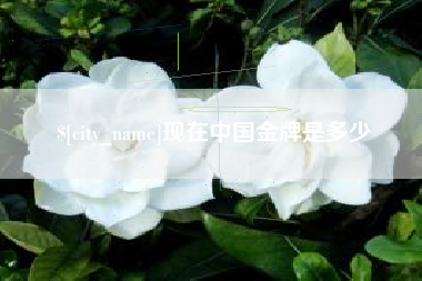 忻州现在中国金牌是多少