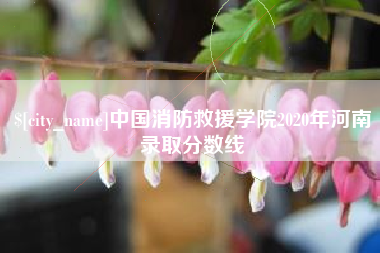 忻州中国消防救援学院2020年河南录取分数线