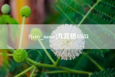 忻州九宫格42633