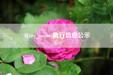 忻州执行信息公示