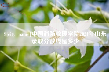 忻州中国消防救援学院2021年山东录取分数线是多少