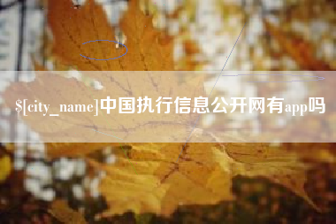 忻州中国执行信息公开网有app吗