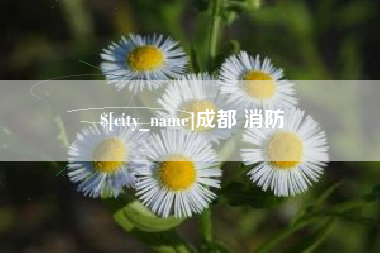 忻州成都 消防