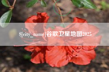 忻州谷歌卫星地图2025