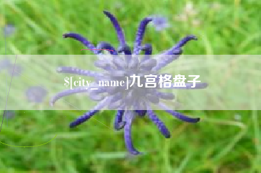 忻州九宫格盘子