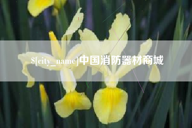 忻州中国消防器材商城