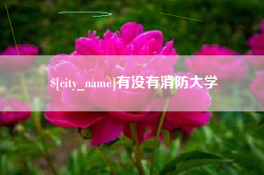 忻州有没有消防大学