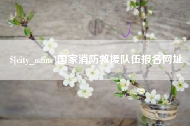 忻州国家消防救援队伍报名网址