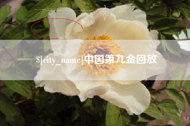 忻州中国第九金回放