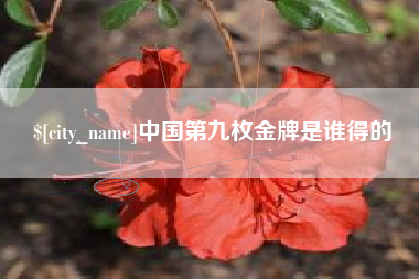 忻州中国第九枚金牌是谁得的