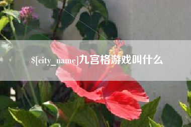 忻州九宫格游戏叫什么