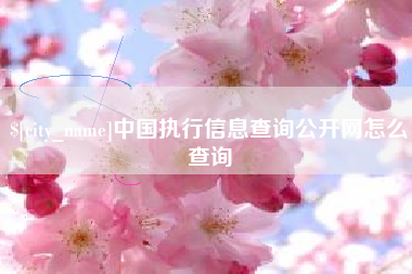 忻州中国执行信息查询公开网怎么查询