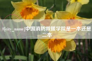 忻州中国消防救援学院是一本还是二本
