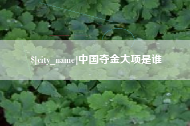 忻州中国夺金大项是谁
