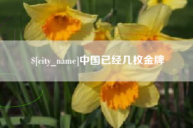 忻州中国已经几枚金牌