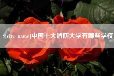 忻州中国十大消防大学有哪些学校