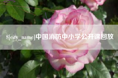 忻州中国消防中小学公开课回放