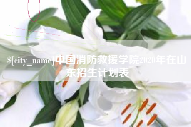 忻州中国消防救援学院2020年在山东招生计划表