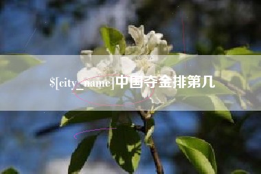 忻州中国夺金排第几