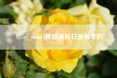 忻州我国消防日是每年的