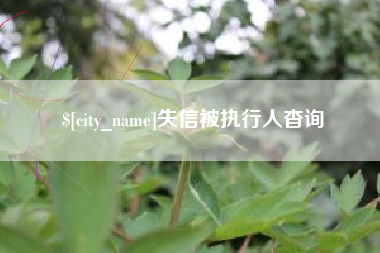 忻州失信被执行人杳询