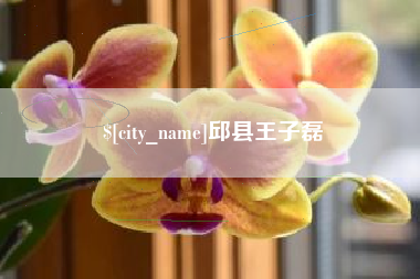 忻州邱县王子磊