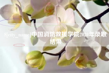 忻州中国消防救援学院2020年录取结果
