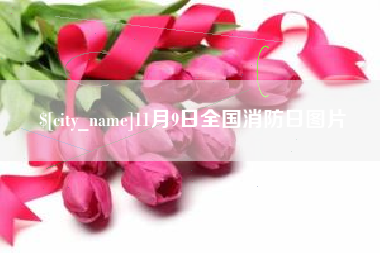忻州11月9日全国消防日图片