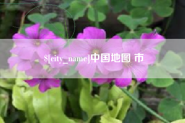 忻州中国地图 市