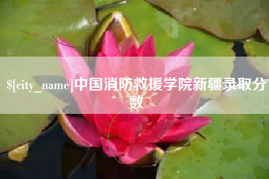 忻州中国消防救援学院新疆录取分数
