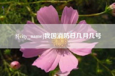 忻州我国消防日几月几号