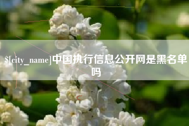 忻州中国执行信息公开网是黑名单吗