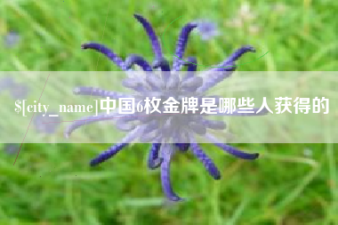 忻州中国6枚金牌是哪些人获得的