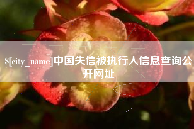 忻州中国失信被执行人信息查询公开网址