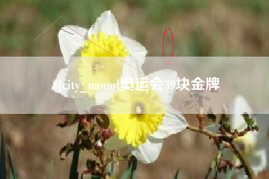 忻州奥运会39块金牌